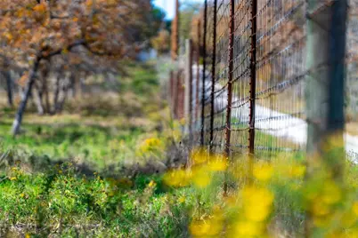 Tbd Tx-123, Seguin, TX 78155 - Photo 11