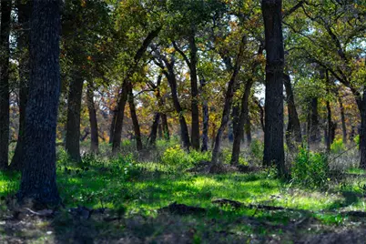 Tbd Tx-123, Seguin, TX 78155 - Photo 9