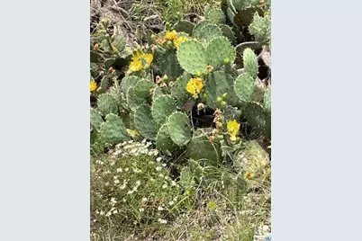 475 Village Top, Canyon Lake, TX 78133 - Photo 7