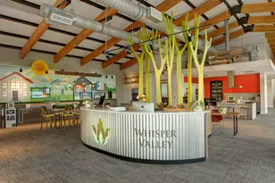 16624 Wind Chime Dr, Austin, TX 78653 - Photo 35