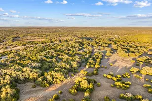 3026 Pursley Rd, Dripping Springs, TX 78620 - Photo 27