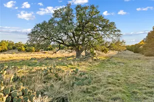 3026 Pursley Rd, Dripping Springs, TX 78620 - Photo 33