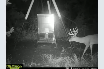 3026 Pursley Road, Dripping Springs, TX 78620 - Photo 39