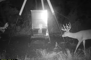 3026 Pursley Rd, Dripping Springs, TX 78620 - Photo 39