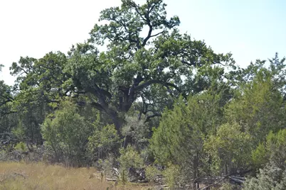 8409 Appaloosa Run, Austin, TX 78737 - Photo 35