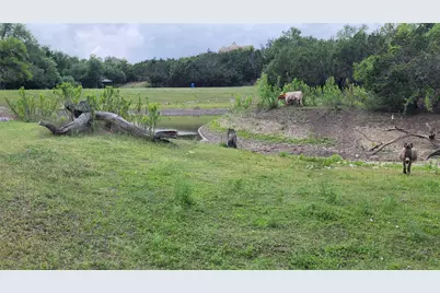 110 Longhorn Lane, Dripping Springs, TX 78620 - Photo 27