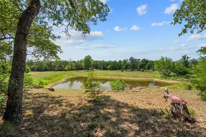 136 Red Fox Lane, Bastrop, TX 78602 - Photo 5