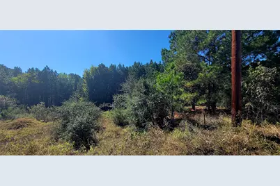 Tbd Alele Drive, Bastrop, TX 78602 - Photo 3