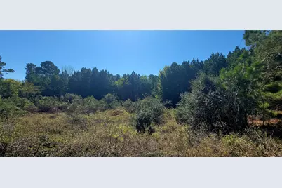 Tbd Alele Drive, Bastrop, TX 78602 - Photo 1