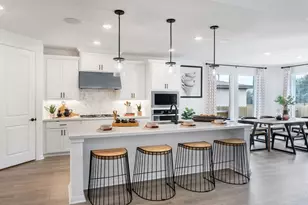 321 Horsemint Ln, Georgetown, TX 78633 - Photo 19