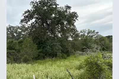 Tbd Willis Lane, Smithville, TX 78957 - Photo 3