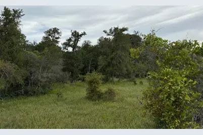 Tbd Willis Lane, Smithville, TX 78957 - Photo 5