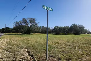 103 Cee Run, Bertram, TX 78605 - Photo 1