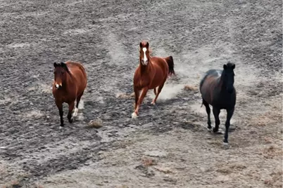 1274 County Road 2806, Lampasas, TX 76550 - Photo 39