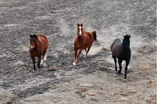 1274 County Road 2806, Lampasas, TX 76550 - Photo 39