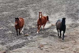 1274 County Road 2806, Lampasas, TX 76550 - Photo 39