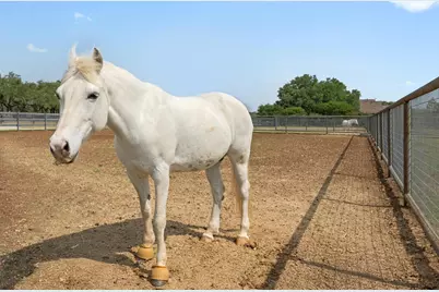 281 Colonial Affair, Austin, TX 78737 - Photo 39