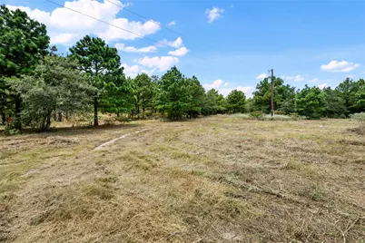 186 Hook Em Horns Drive, Paige, TX 78659 - Photo 25