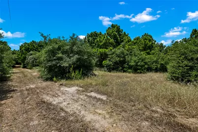 186 Hook Em Horns Drive, Paige, TX 78659 - Photo 15