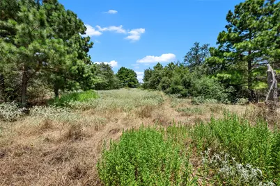 186 Hook Em Horns Drive, Paige, TX 78659 - Photo 23