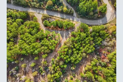 Tbd Winfield Thicket Road, Smithville, TX 78602 - Photo 9