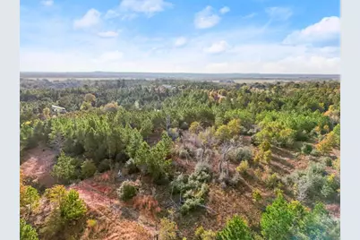 Tbd Winfield Thicket Road, Smithville, TX 78602 - Photo 17