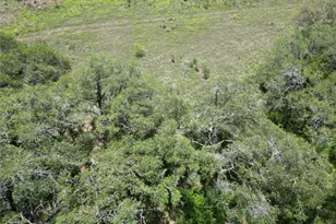 Lot 64 Rycen Dr, Bertram, TX 78605 - Photo 5