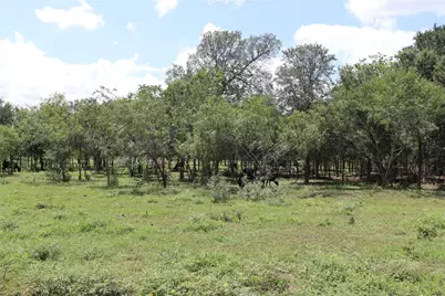 1220 Brushy Branch Road, Lockhart, TX 78644 - Photo 5