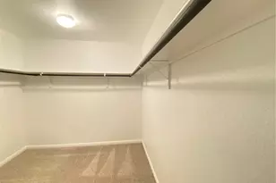 321 Old Glory Trail, Liberty Hill, TX 78642 - Photo 11