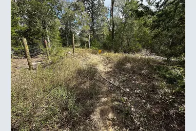 1200 Thompson Road, Dale, TX 78616 - Photo 13