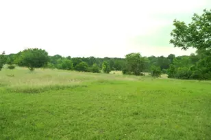 2900 Mt Sharp Rd, Wimberley, TX 78676 - Photo 13