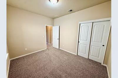 431 Northern Flicker Street, Kyle, TX 78640 - Photo 13