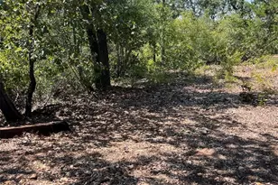 Tbd Lakeshore Rd, Bastrop, TX 78602 - Photo 1