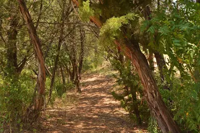 2408 Claret Cove #110, Austin, TX 78748 - Photo 35