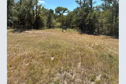 407 Cr 227, Marlin, TX 76661 - Photo 7