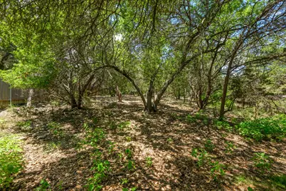 6 Basswood Circle, Wimberley, TX 78676 - Photo 29