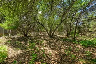 6 Basswood Cir, Wimberley, TX 78676 - Photo 29