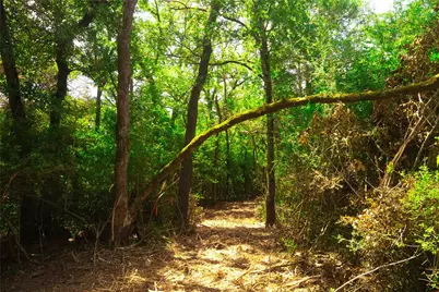 12320 Red Hill Road, Hearne, TX 77859 - Photo 7