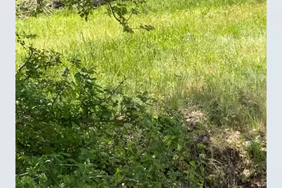 501 Monument Street, Lockhart, TX 78644 - Photo 1