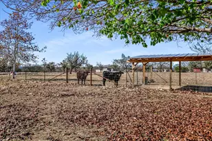 842 Boos Ln, Fredericksburg, TX 78624 - Photo 29