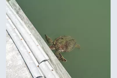 318 W Cotter Avenue #1, Port Aransas, TX 78373 - Photo 13