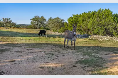 4237 County Road 330 Road, Burnet, TX 78611 - Photo 33
