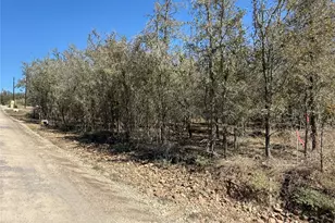 135 Diamond Head Dr, Bastrop, TX 78602 - Photo 1