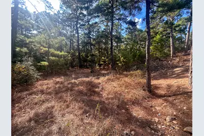 Lot 85 Hill Ridge Drive, Bastrop, TX 78602 - Photo 3