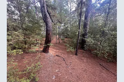 Lot 85 Hill Ridge Drive, Bastrop, TX 78602 - Photo 15