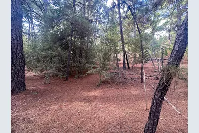 Lot 85 Hill Ridge Drive, Bastrop, TX 78602 - Photo 11