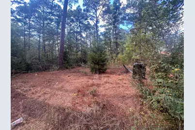 Lot 85 Hill Ridge Drive, Bastrop, TX 78602 - Photo 13