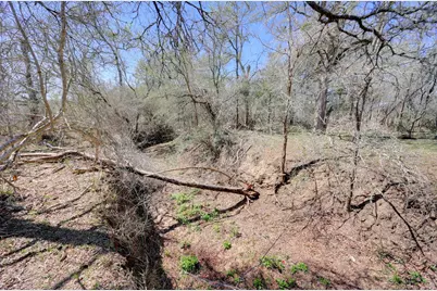 000 Cr 420, Waelder, TX 78959 - Photo 15