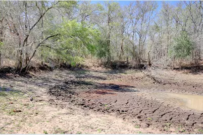 000 Cr 420, Waelder, TX 78959 - Photo 7
