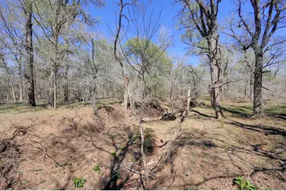 000 Cr 420, Waelder, TX 78959 - Photo 17